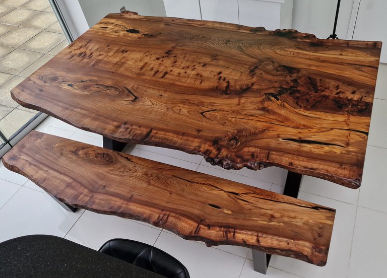 English Elm, photo 22