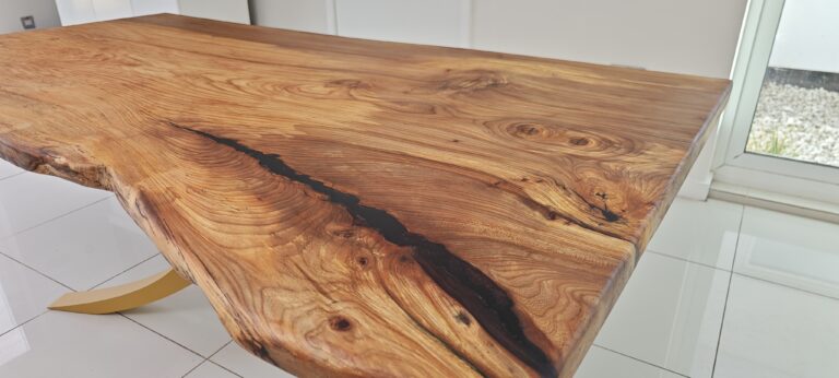 English Elm, photo 40