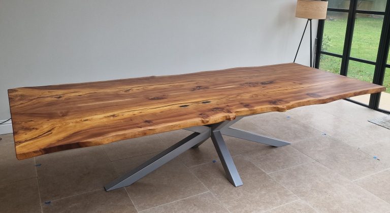 English Elm, photo 24