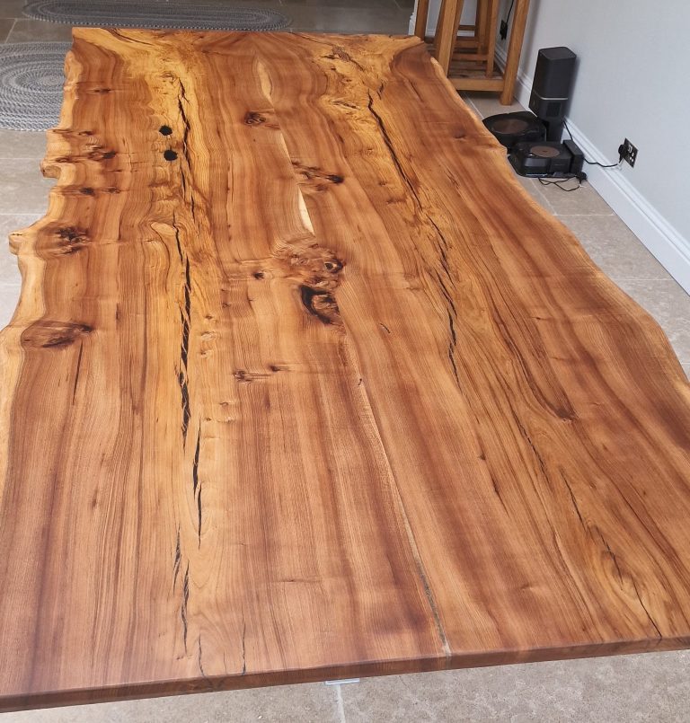 English Elm, photo 35