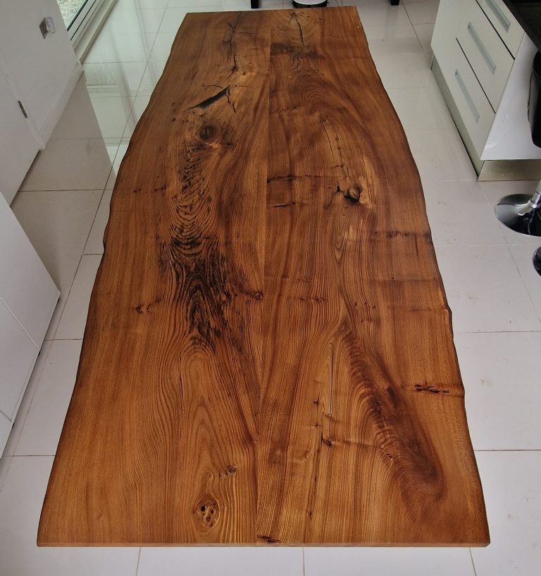 English Elm, photo 33