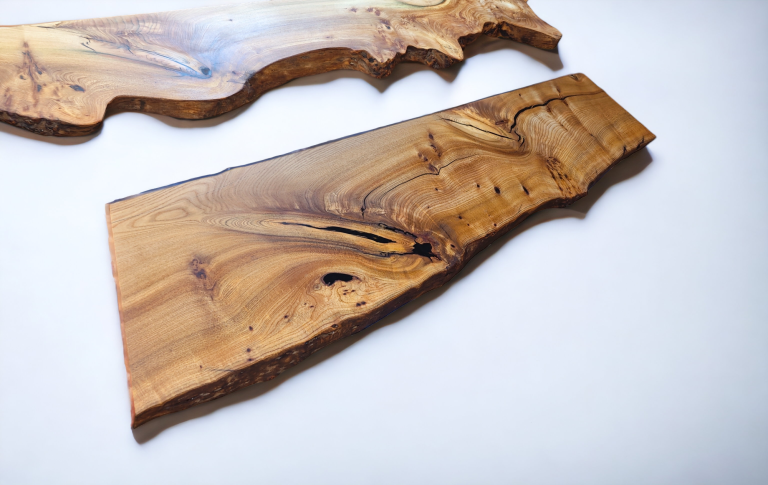 English Elm, photo 42