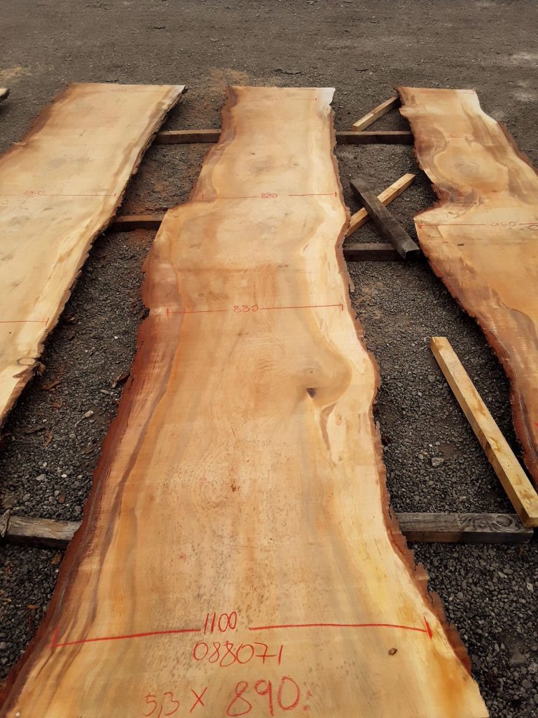 Cedar slab
