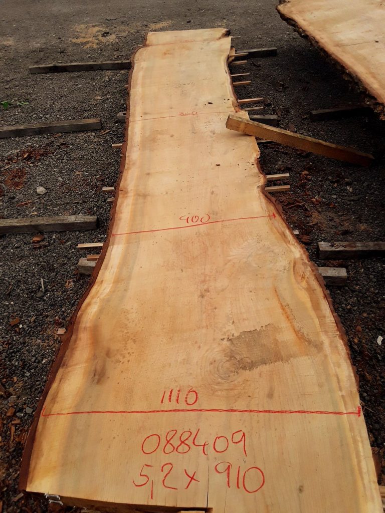 Cedar of Lebanon raw slab, photo 9