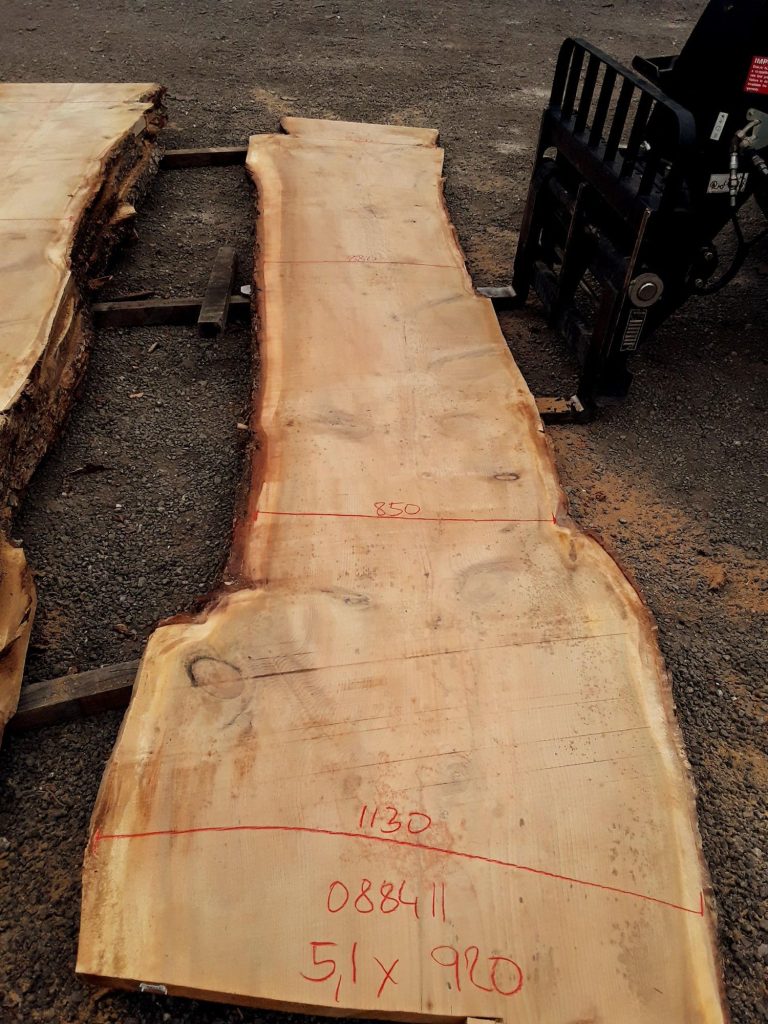 Cedar of Lebanon raw slab, photo 10