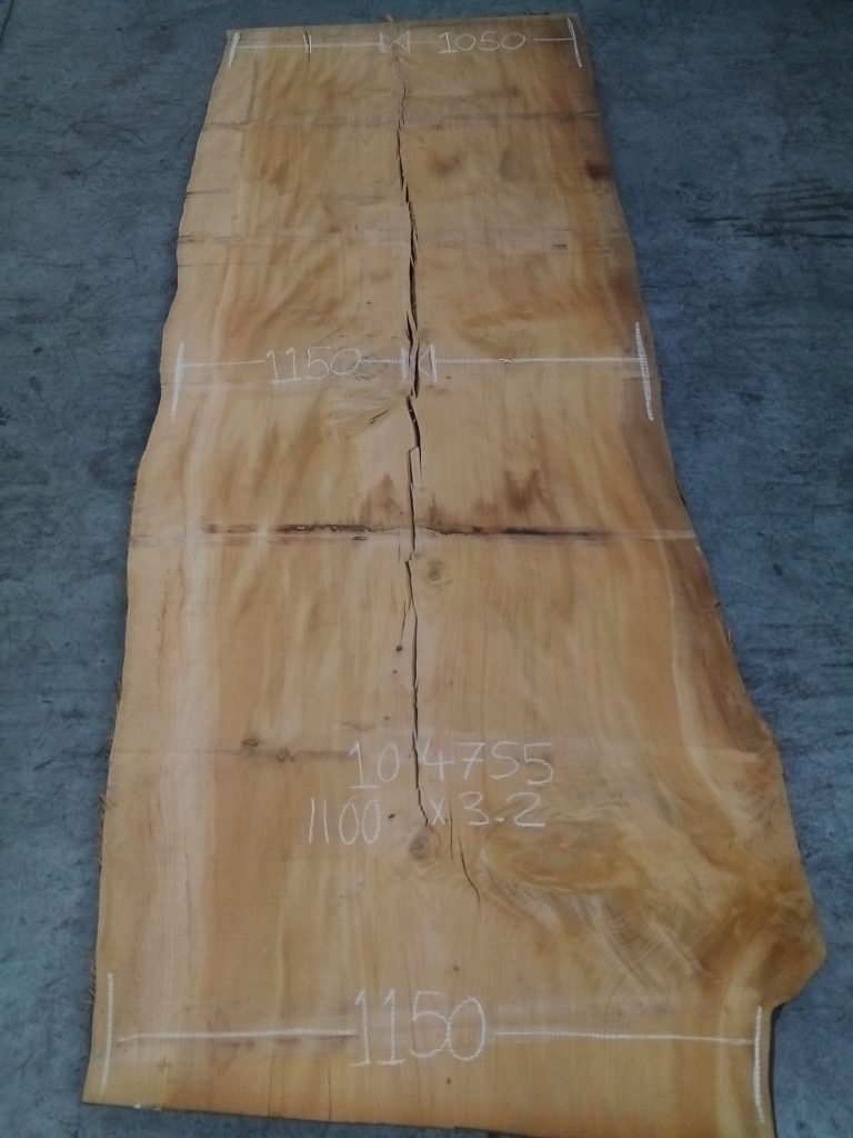 Cedar of Lebanon raw slab, photo 7