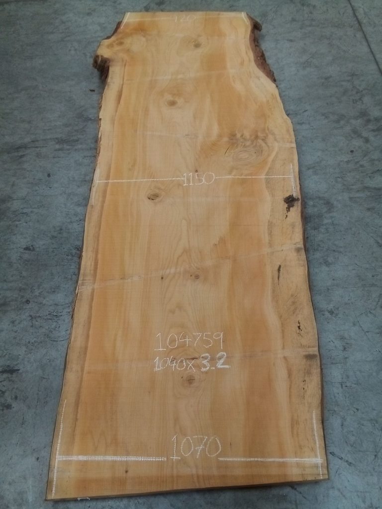 Cedar of Lebanon raw slab, photo 11