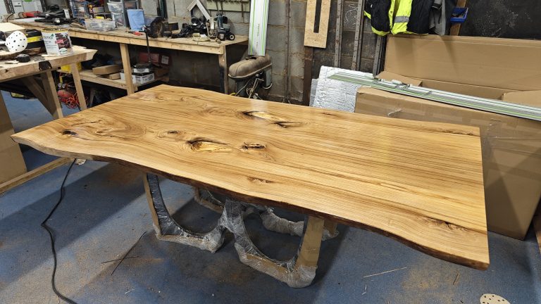 English Elm, photo 43