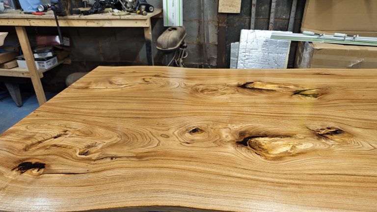 English Elm, photo 44