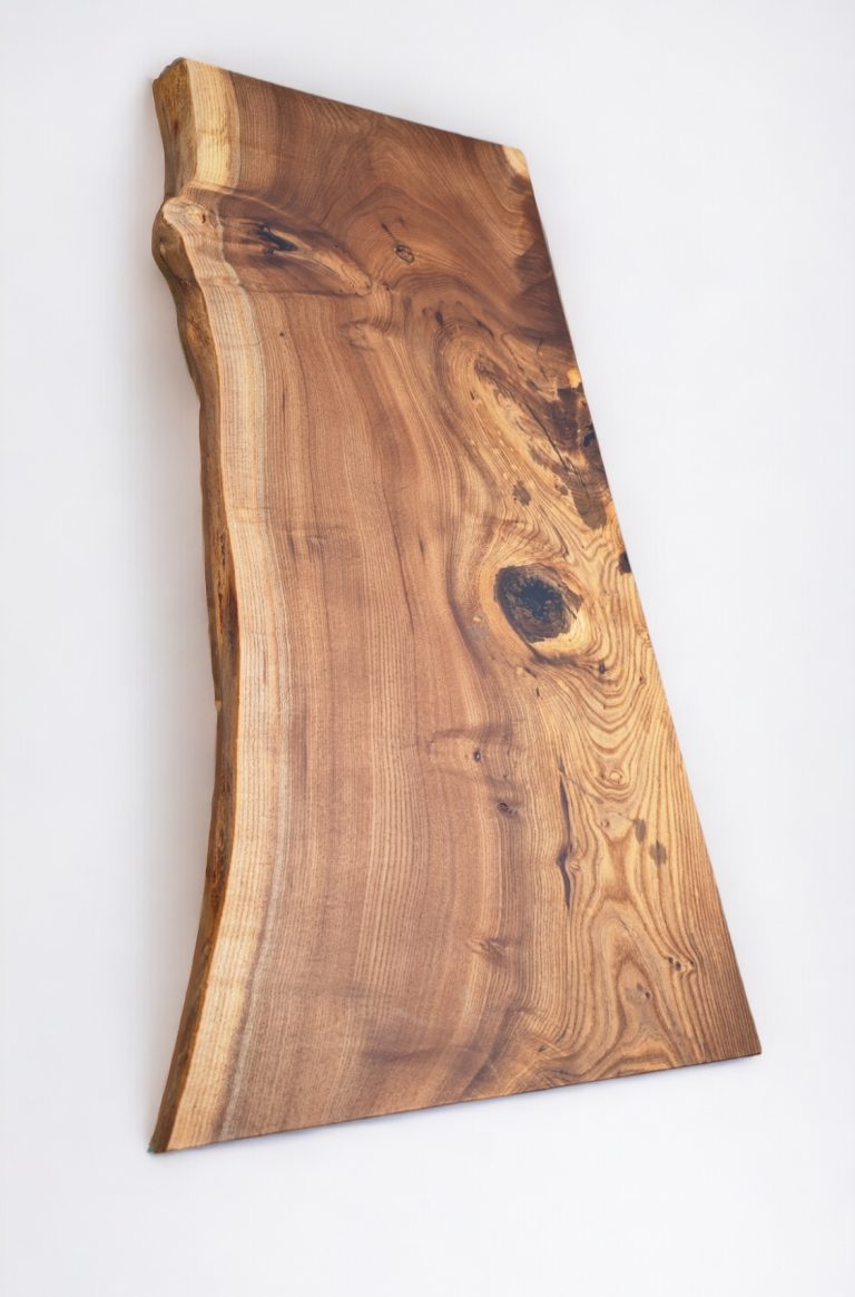 English Elm, photo 55