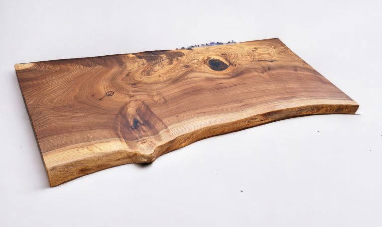 English Elm, photo 47