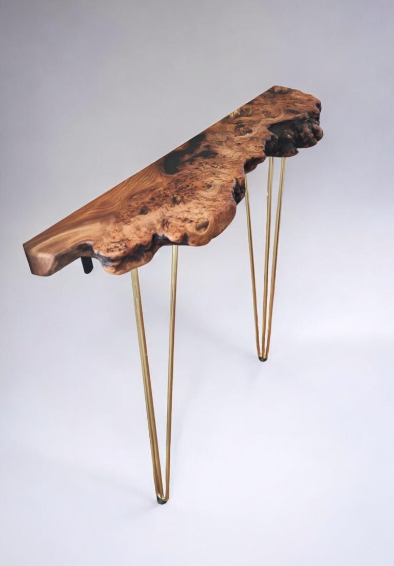 English Elm, photo 52