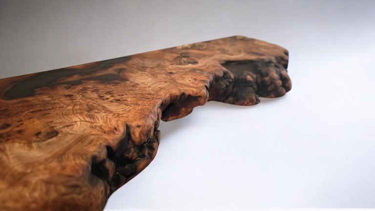 English Elm, photo 53