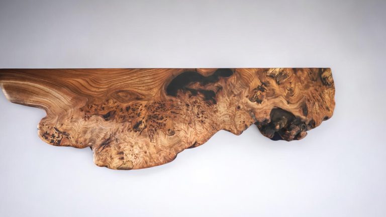 English Elm, photo 56