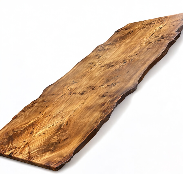 English Elm, photo 48