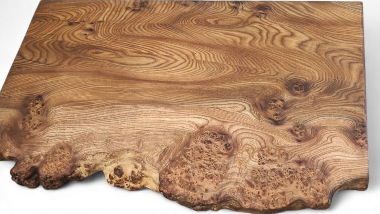 English Elm, photo 58