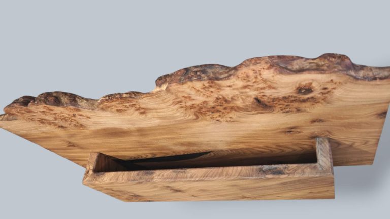 English Elm, photo 59