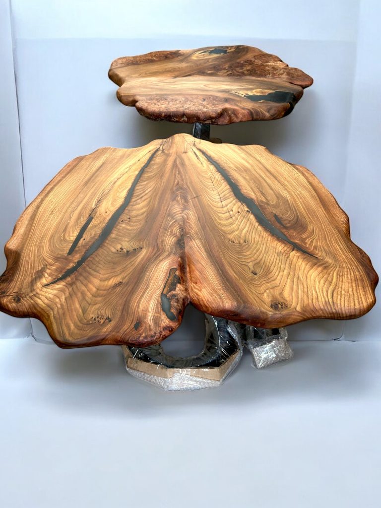 English Elm, photo 61