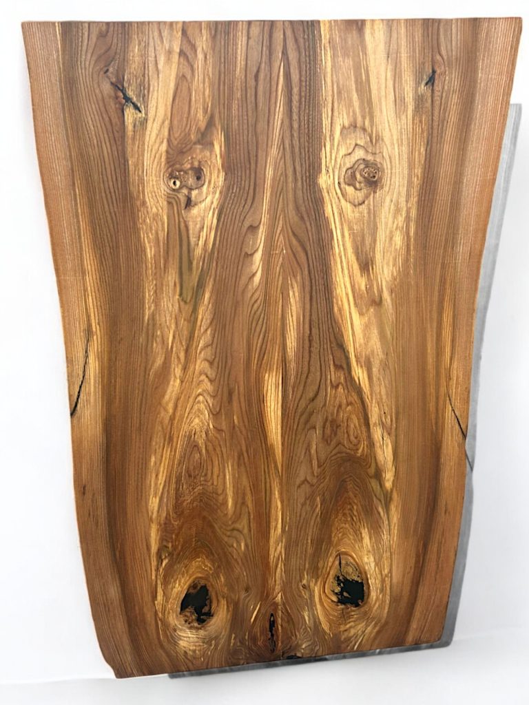 English Elm, photo 62