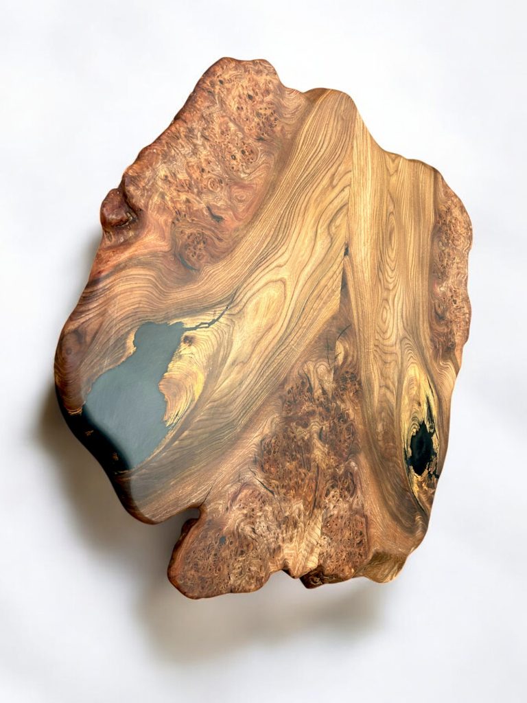 English Elm, photo 66