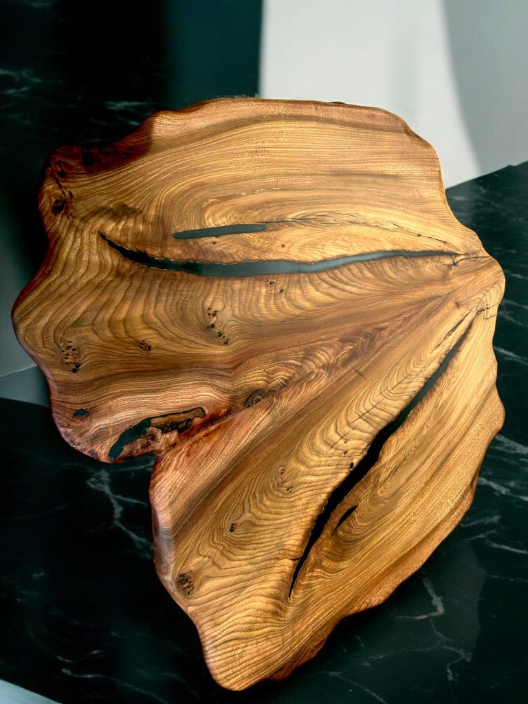 English Elm, photo 67