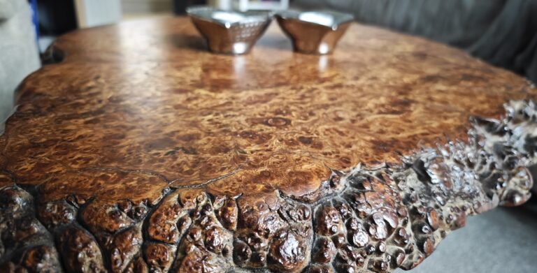 English Elm, photo 73