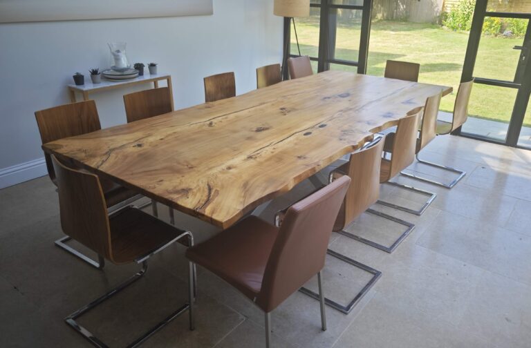 English Elm, photo 79