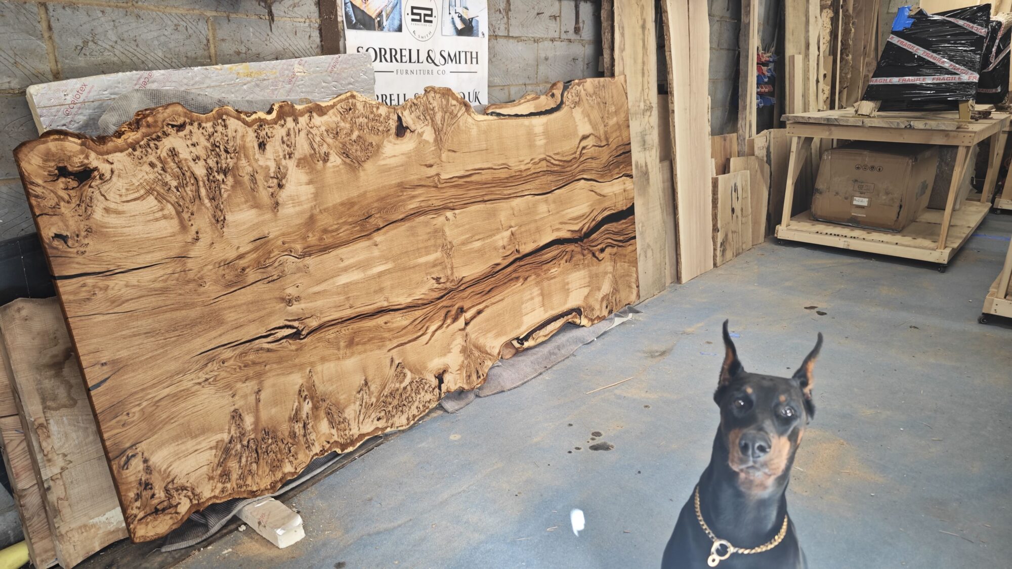 Burr Oak slab