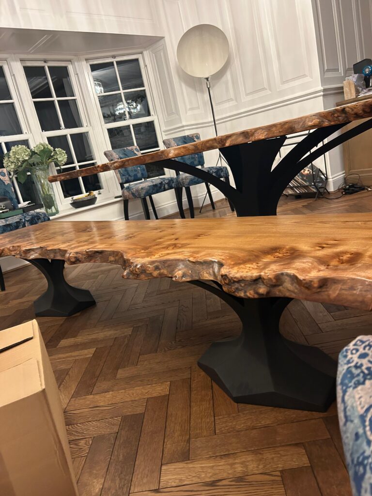 English Elm, photo 87