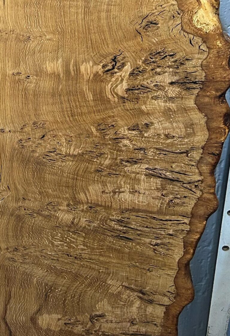 Pippy Oak / Burr Oak, photo 25