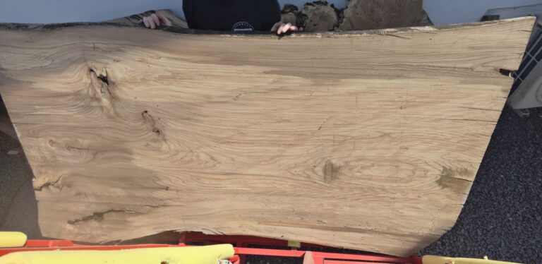 English Elm raw slab, photo 101