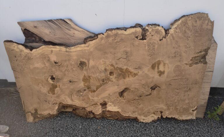 Pippy Oak / Burr Oak raw slab, photo 41