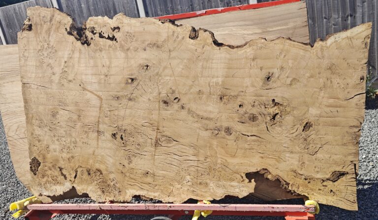 Pippy Oak / Burr Oak raw slab, photo 40