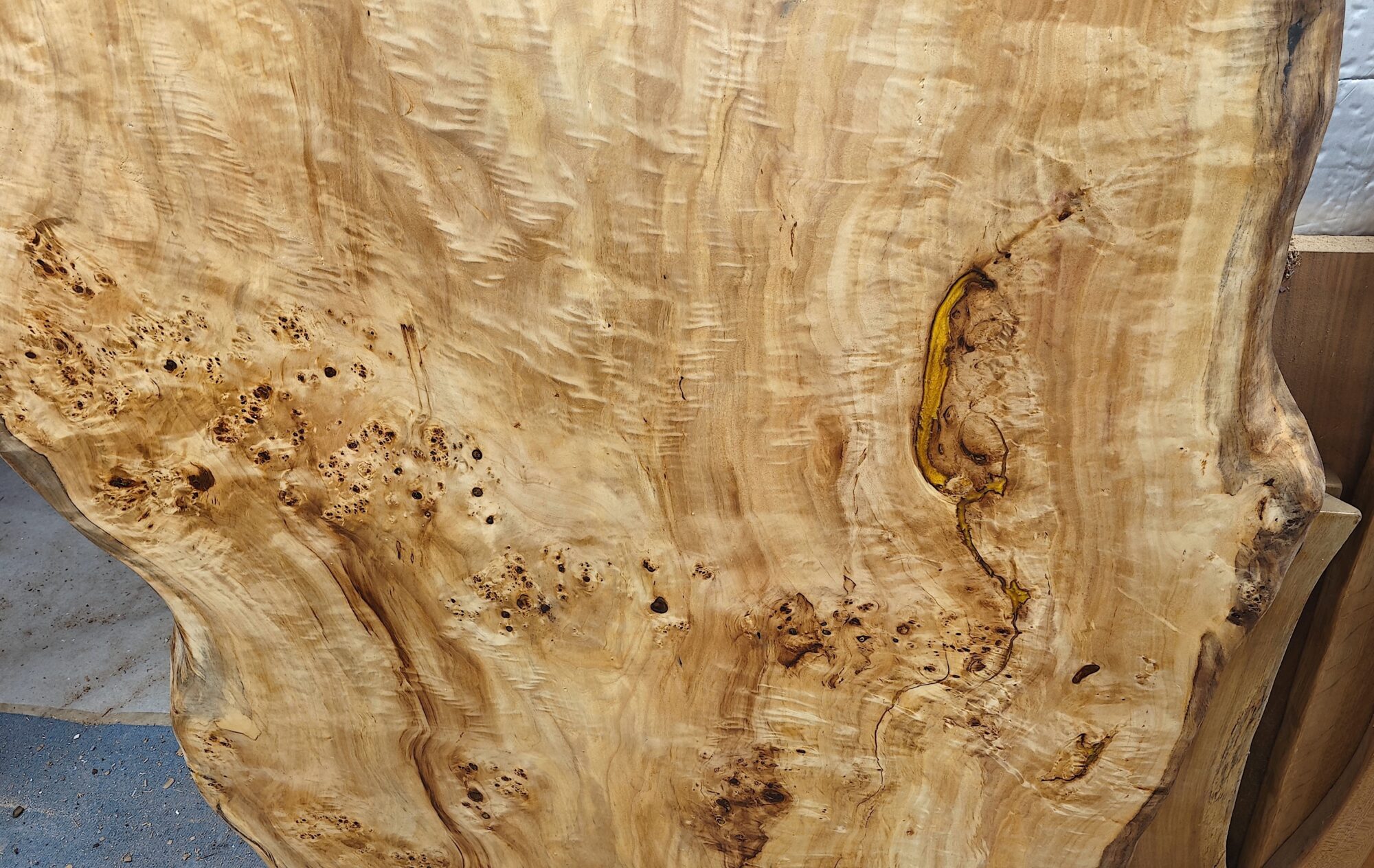 IN STOCK | Mappa Burr Single-Slab Tabletop | Live Edges | 10 Seater | 2.4m x 100cm | Choose Your Own Base, photo 5