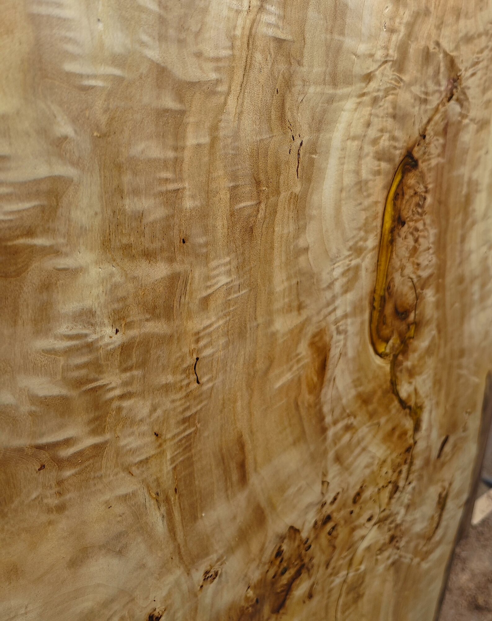 IN STOCK | Mappa Burr Single-Slab Tabletop | Live Edges | 10 Seater | 2.4m x 100cm | Choose Your Own Base, photo 6