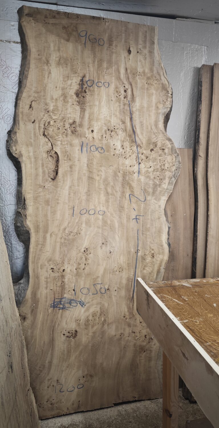 Mappa Burr raw slab, photo 34