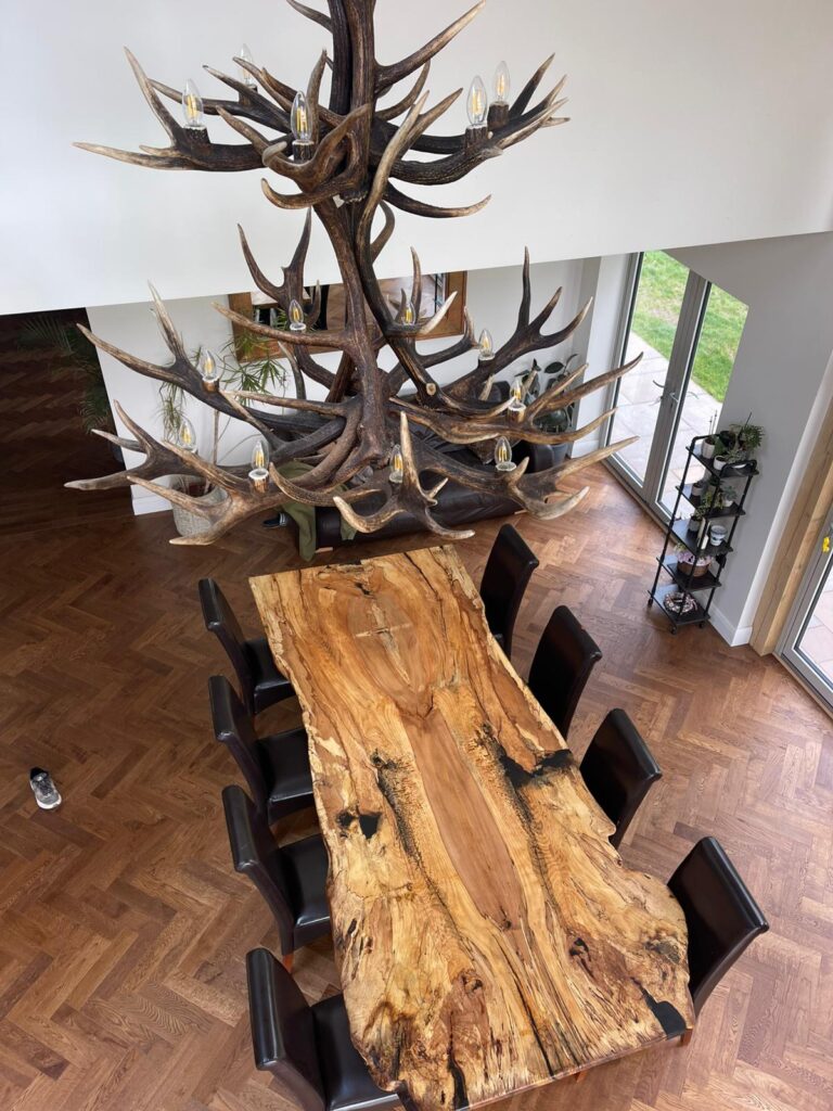 English Elm, photo 80