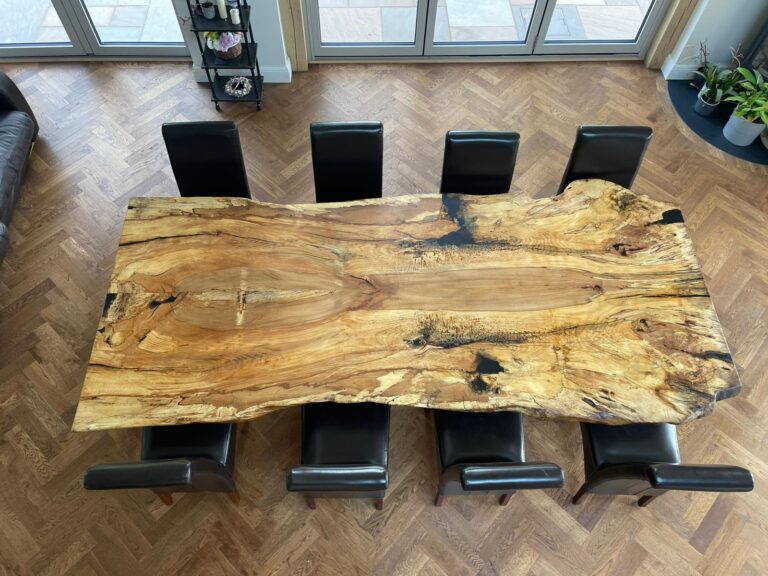 English Elm, photo 89