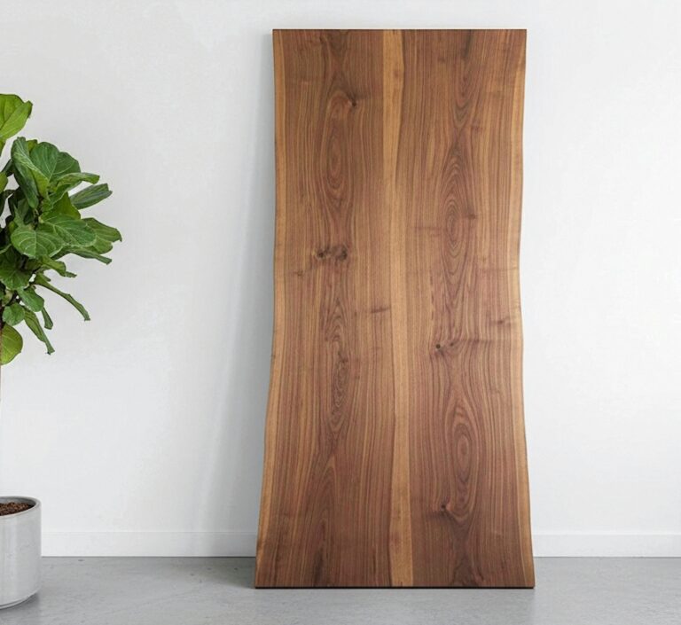 American Black Walnut, photo 1