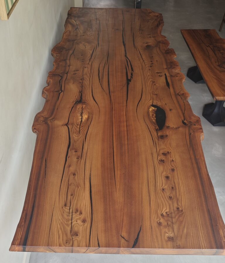 English Elm, photo 11