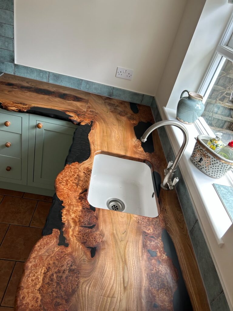 English Elm, photo 83