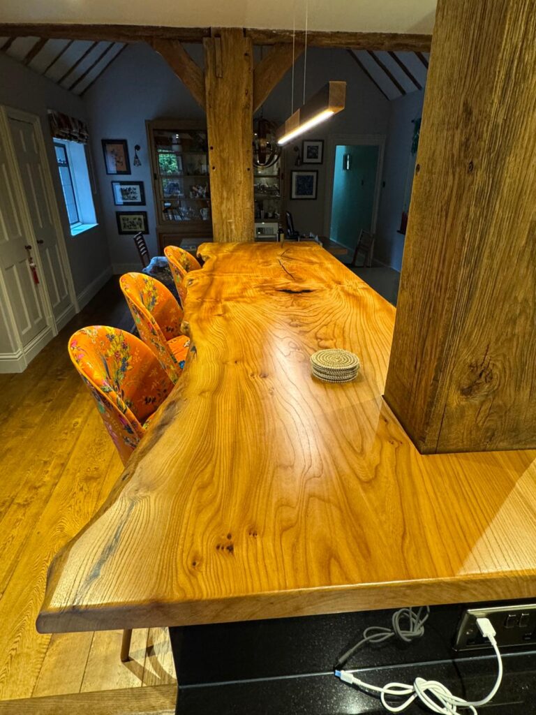 English Elm, photo 96
