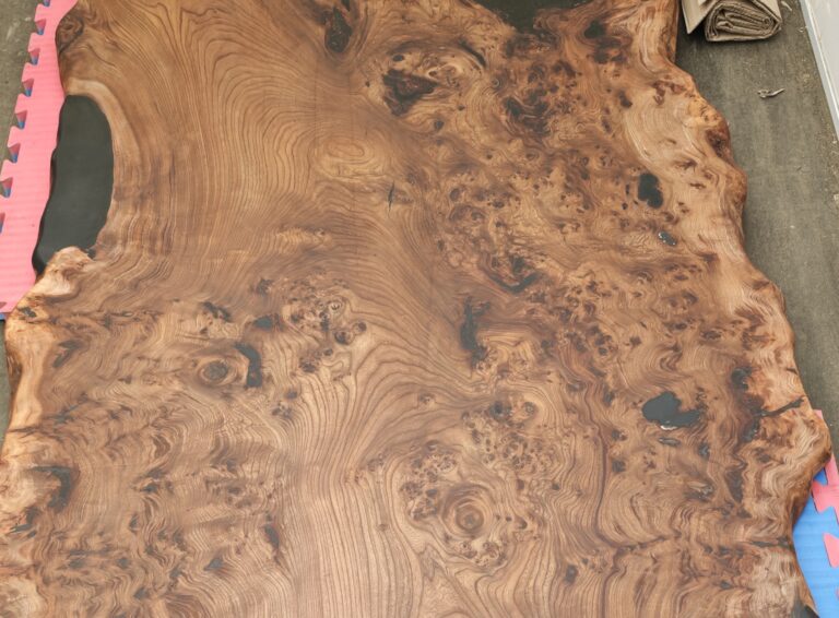 English Elm, photo 98
