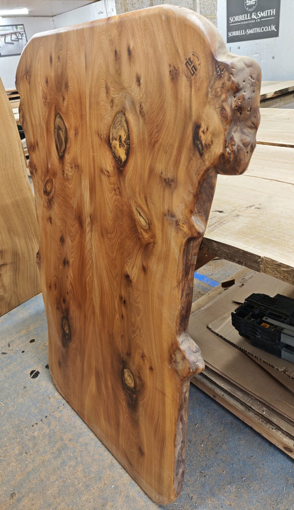 Side view of English Elm tabletop showing live edge and thickness